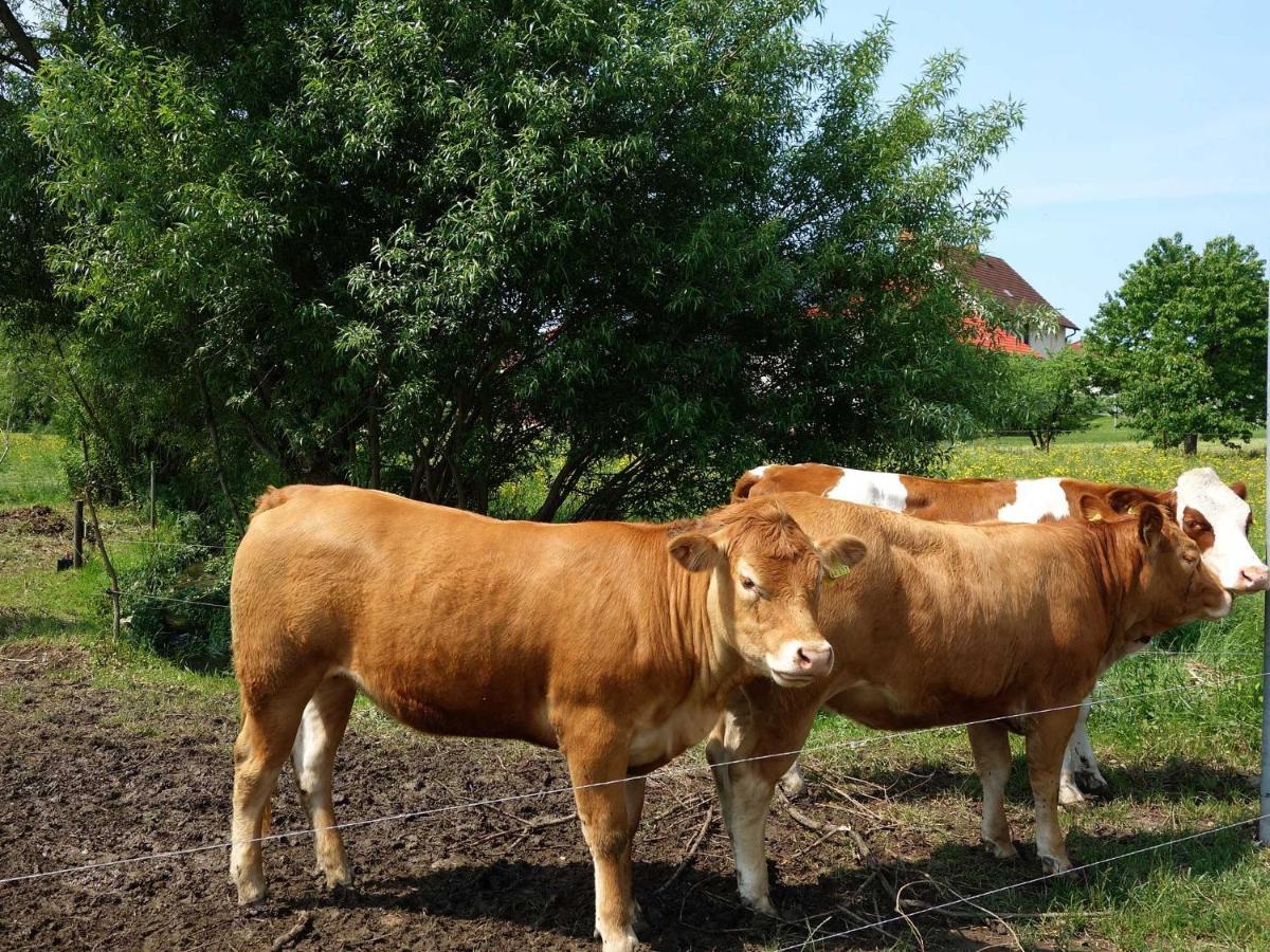 Monteurwohnungen Goeb - Nicht Fuer Urlaubsgaeste Geisa Bagian luar foto